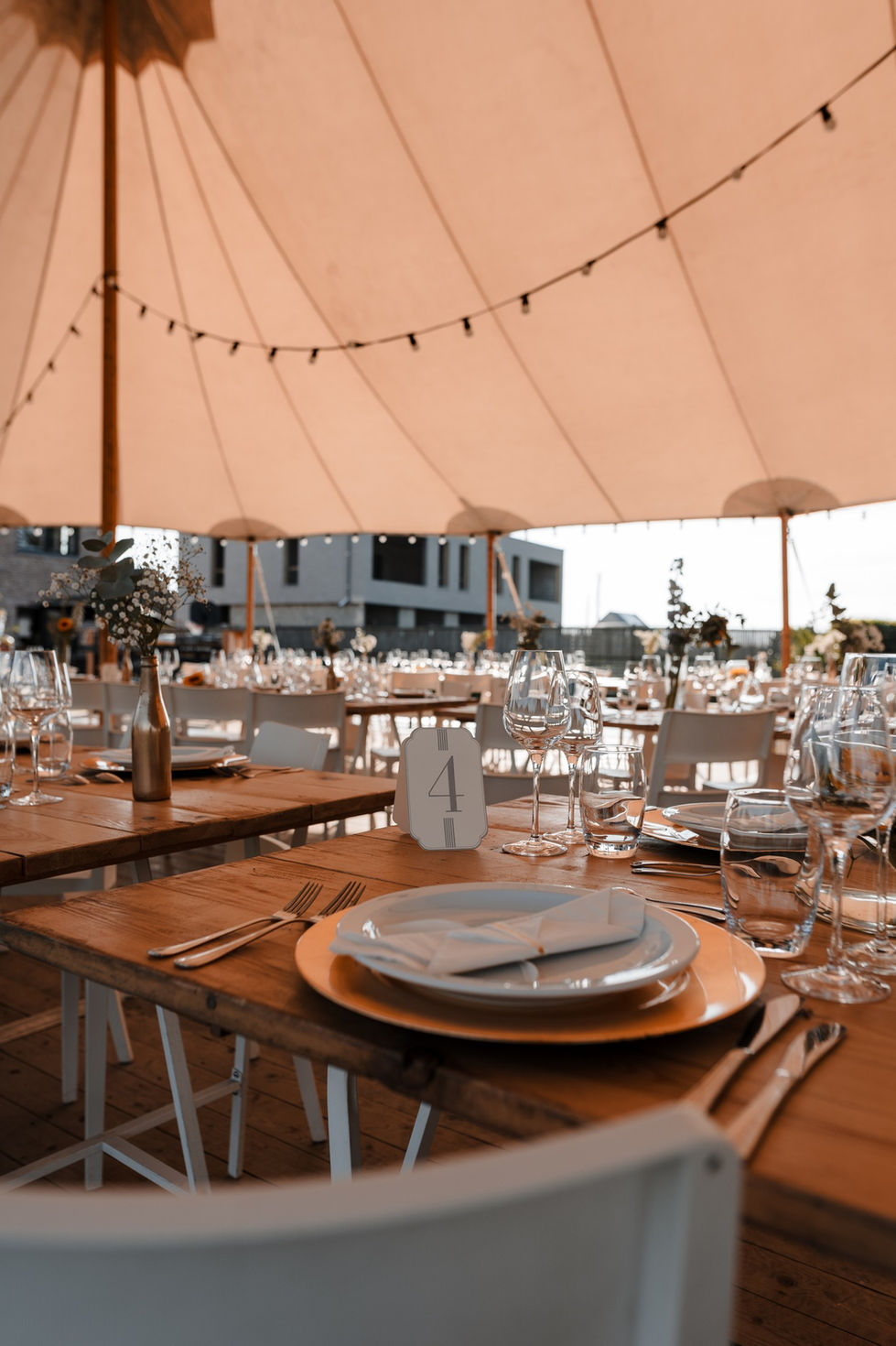 434584445_929333542533484_4195221377674663365_n