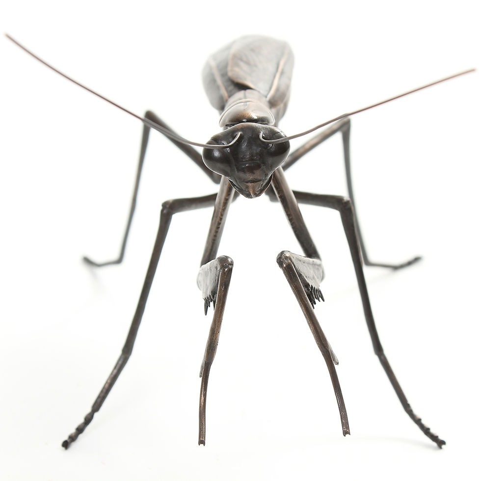Thumbnail: praying mantis - limited edition bronze