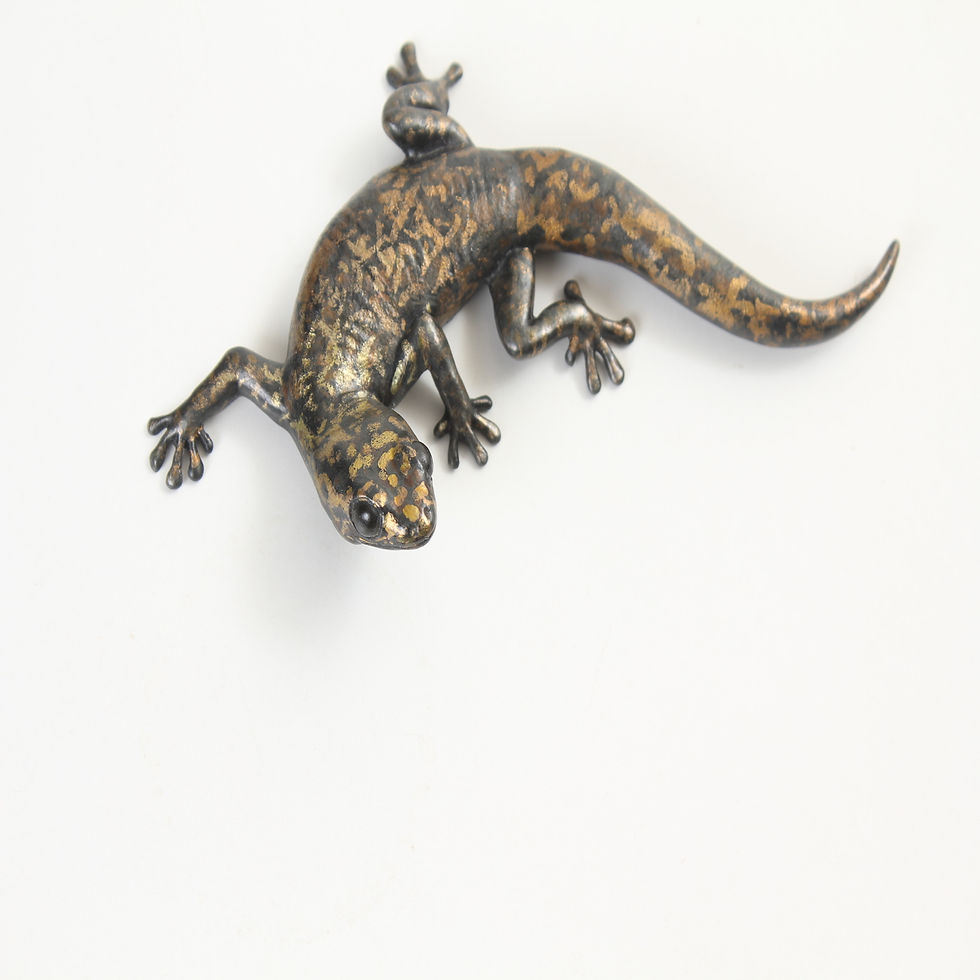 Thumbnail: gecko - size 5 - bronze