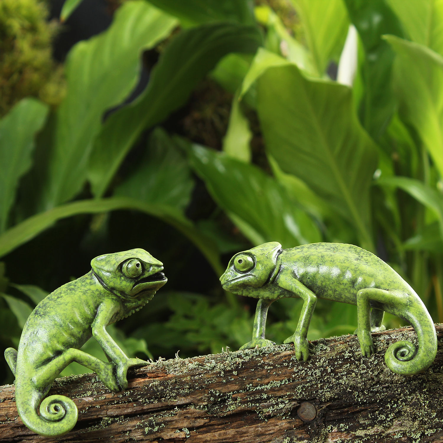 chameleons greeting card