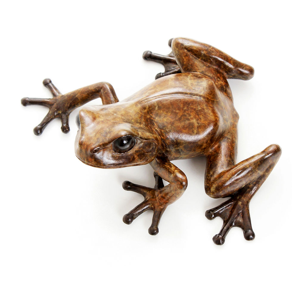 Thumbnail: tree frog looking left - limited edition bronze