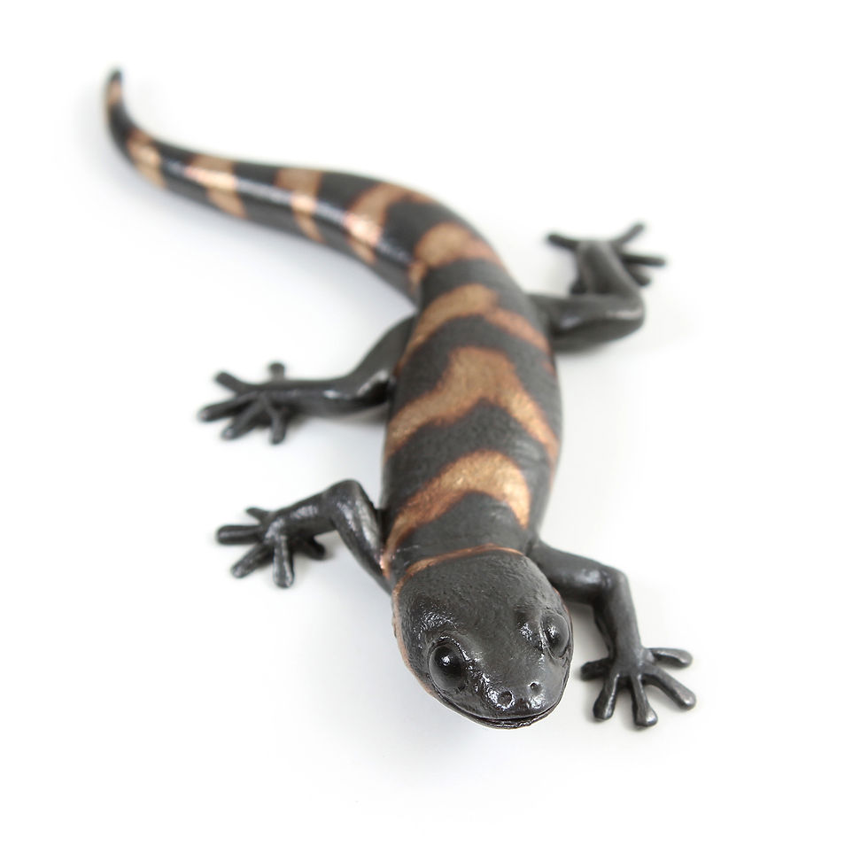 Thumbnail: gecko - size 4 - bronze