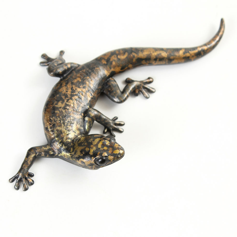 Thumbnail: gecko - size 5 - bronze