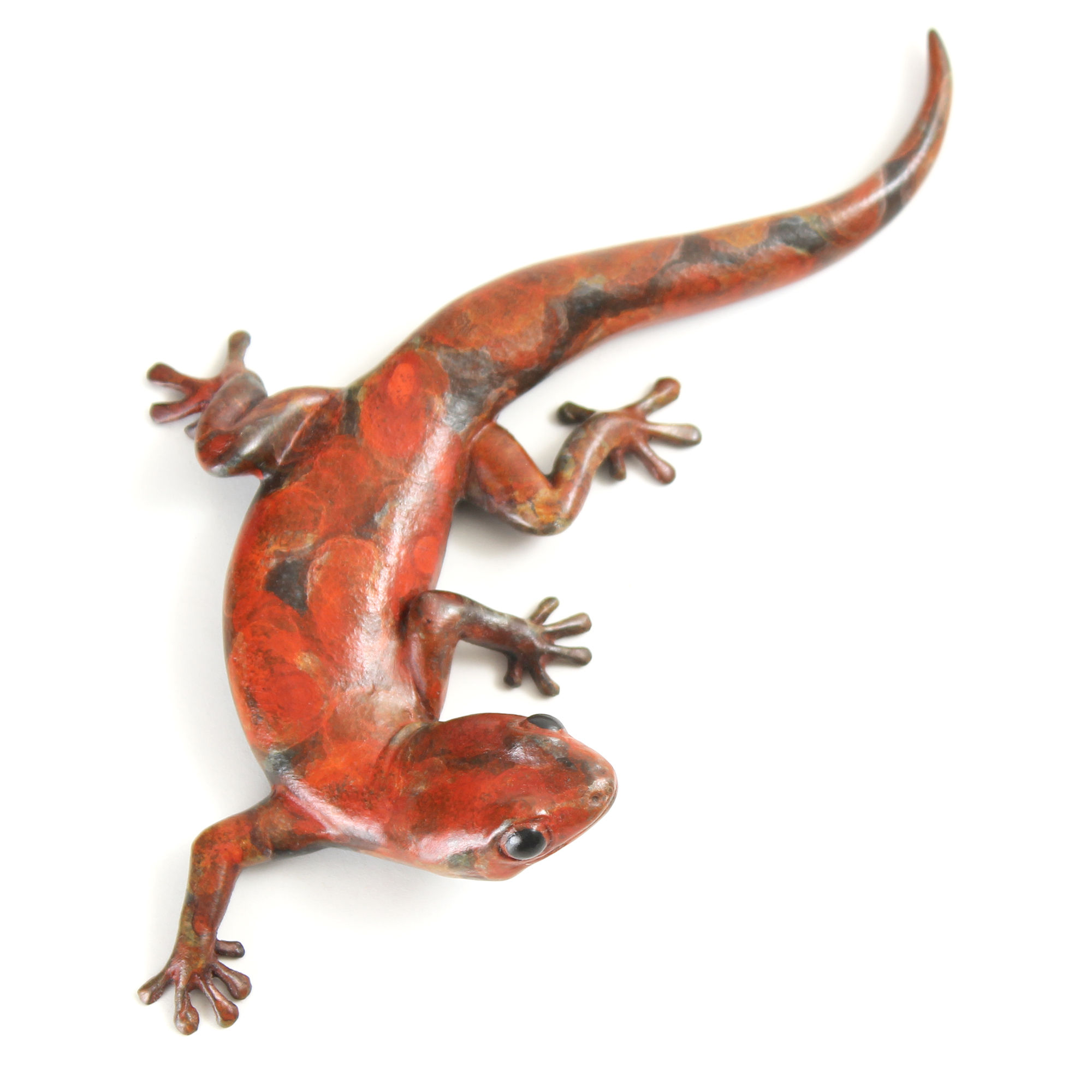 gecko - size 5 - bronze