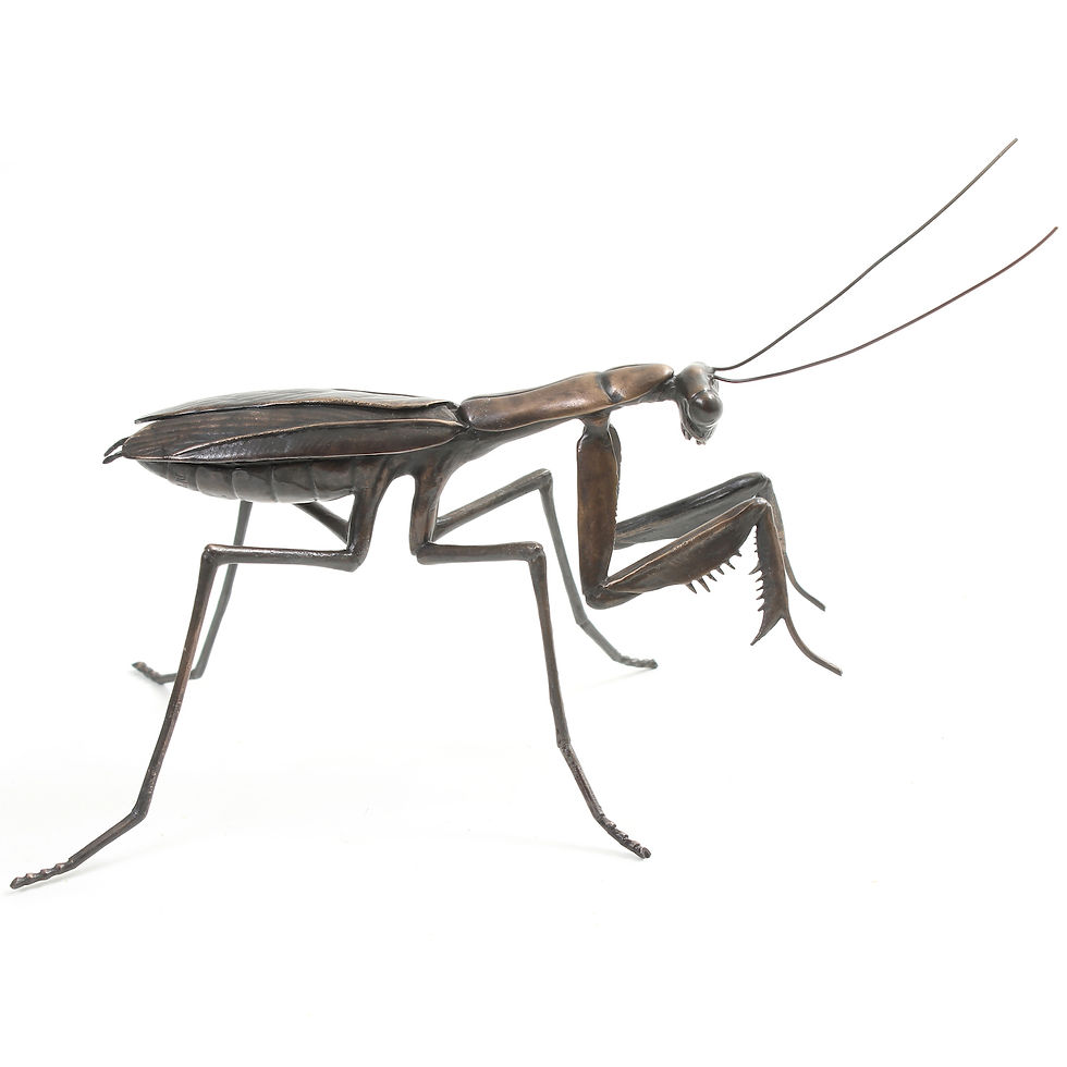 Thumbnail: praying mantis - limited edition bronze