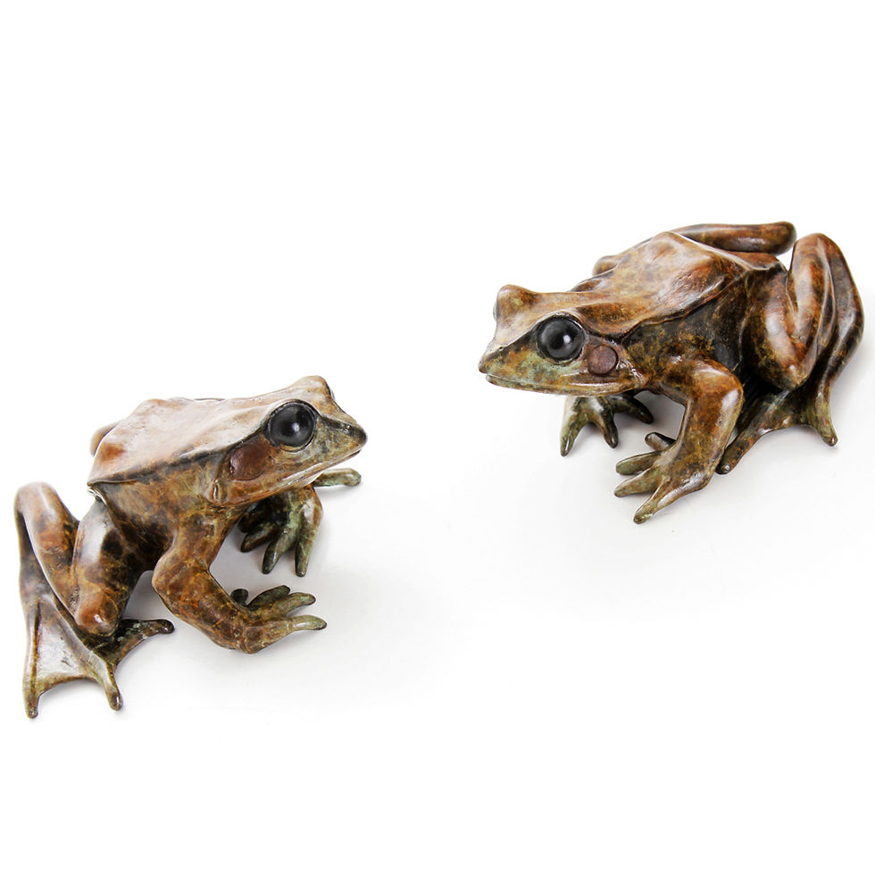 Thumbnail: common frog looking up - limited edition bronze