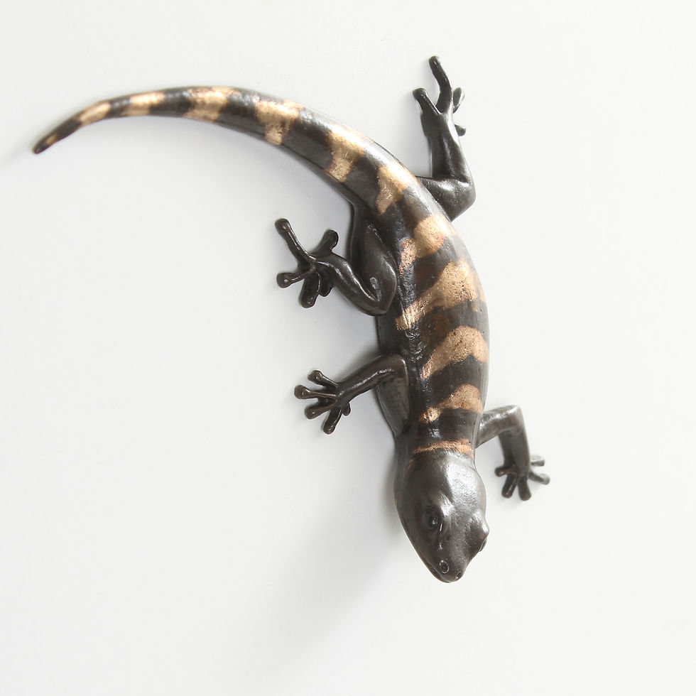 Thumbnail: gecko - size 6 - discontinued version