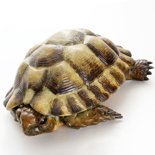 egyptian tortoise limited edition bronze geckoman