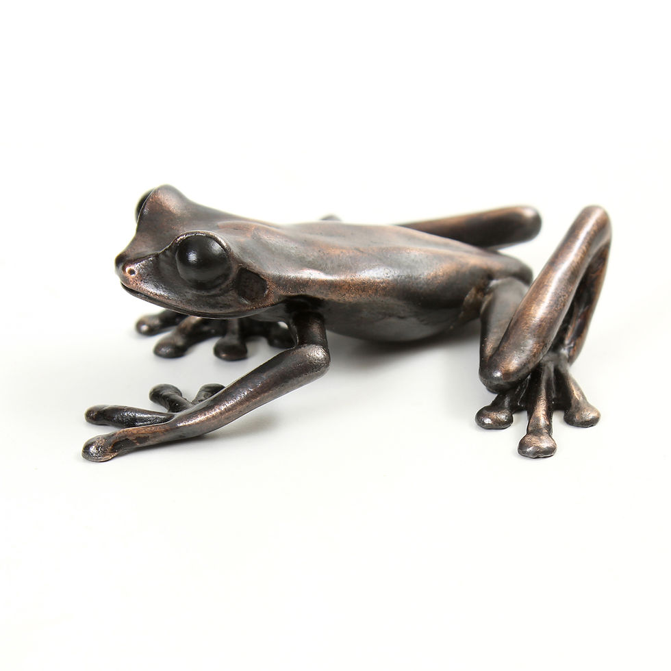 Thumbnail: Red Eyed Tree Frog Bronze Sculpture - Female | Geckoman Art UK