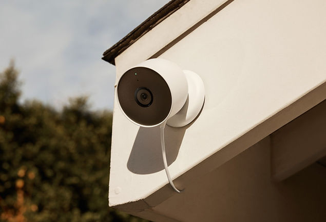 nest pic 1.jpg