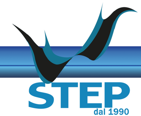 STEP.png
