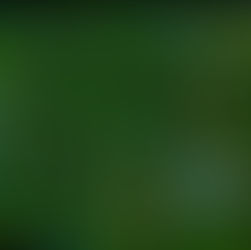 Texas Public Radio introduces Quantu