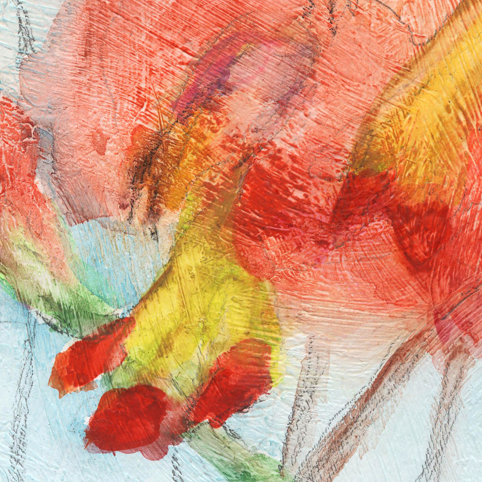 Jessica Webster Still Live Collection