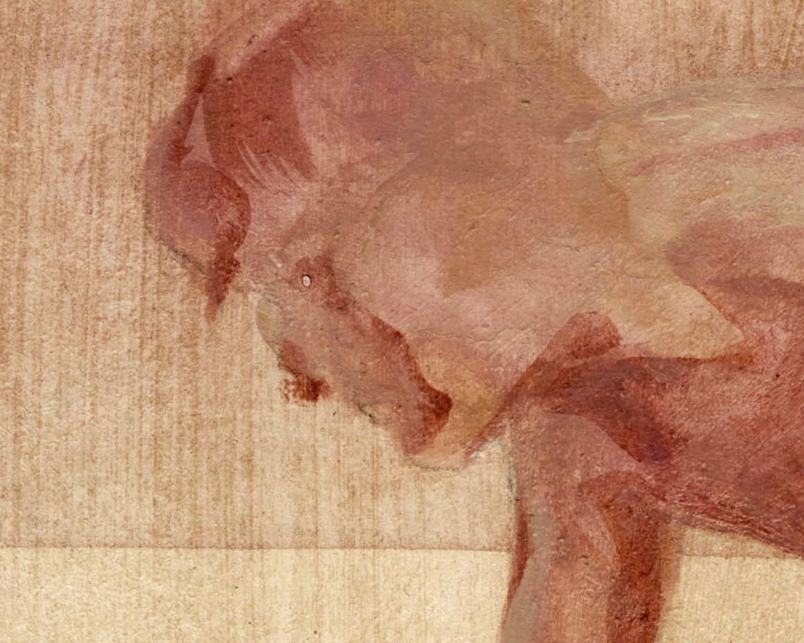 close-up of man's head 