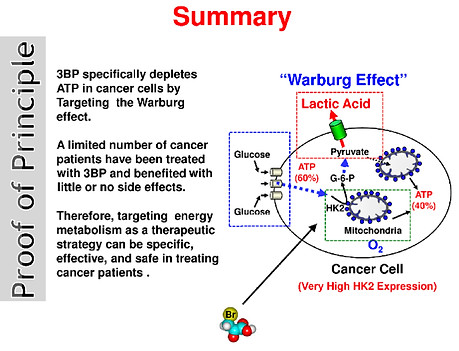 Summary of the Warburg Effect.jpeg
