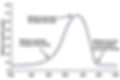 melatonin production