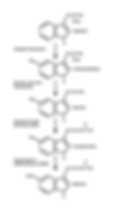 tryptophan