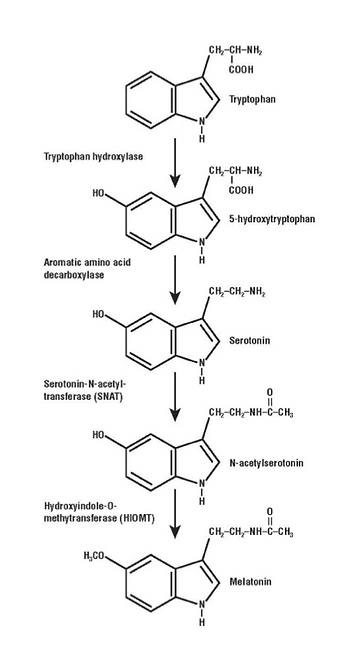 tryptophan