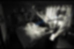 conscious astral projection