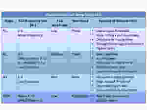 Characteristics of Sleep Stage EEG