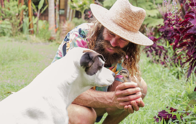 Volunteer feeding a white duck in the sanctuary garden surrounded by banana trees.