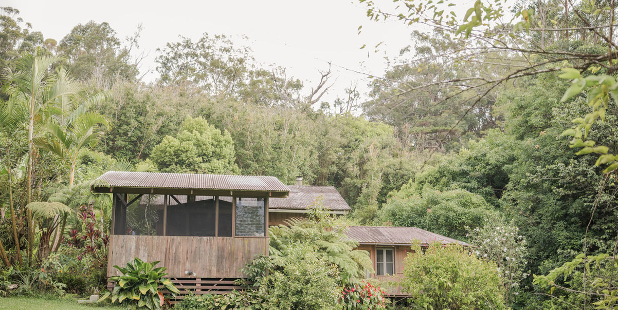 Aerial view of Hamakua Sanctuary cabins surrounded by lush tropical forest.