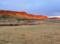 Emry5landscape