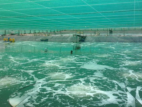 AirOxi at World Aquaculture India 2025: Delivering Advanced Aeration Solutions for India’s Aquaculture Future