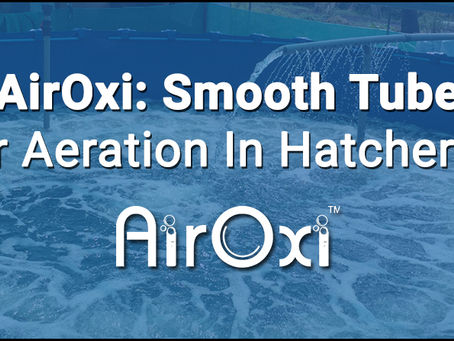 AirOxi: Smooth Tube For Aeration In Hatcheries