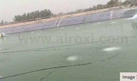 Summer Aeration Challenges in Fish and Shrimp Ponds: How to ensure optimum aeration