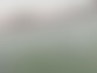 What Is the Ideal Aeration Setup for Shrimp Nursery, Shrimp Hatchery, and Shrimp Grow-Out Ponds?