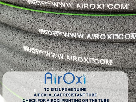 Breathe Easy, Grow Big: AirOxi Tube - The Oxygen Hero for India's High-Density Fish & Shrimp Farms
