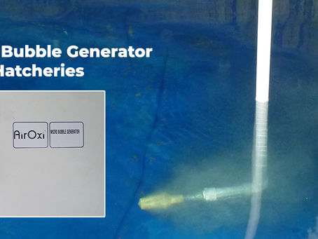 AirOxi Micro Bubble Generator For Hatcheries
