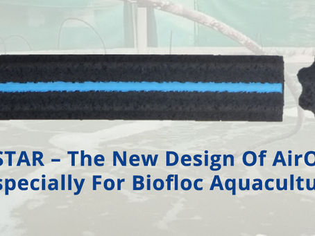 AirOxi STAR – The New Design Of AirOxi Tube Made Especially For Biofloc Aquaculture (BFT)