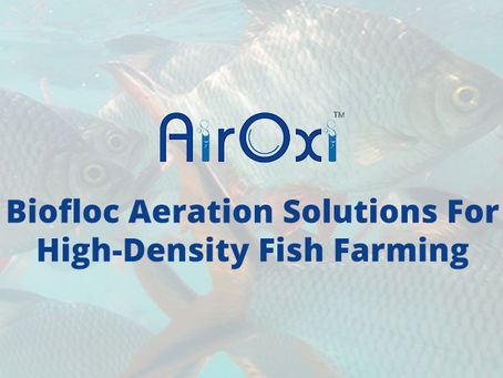 Biofloc Aeration Solutions For High-Density Fish Farming