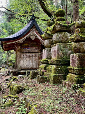 Koysan. Budizmo lopšys žaliuose kalnuose, Japonija.