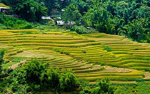 Circuit Vietnam hors de sentiers battus - 10 jours immersifs