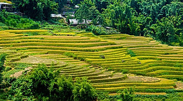 Circuit Vietnam hors de sentiers battus - 10 jours immersifs