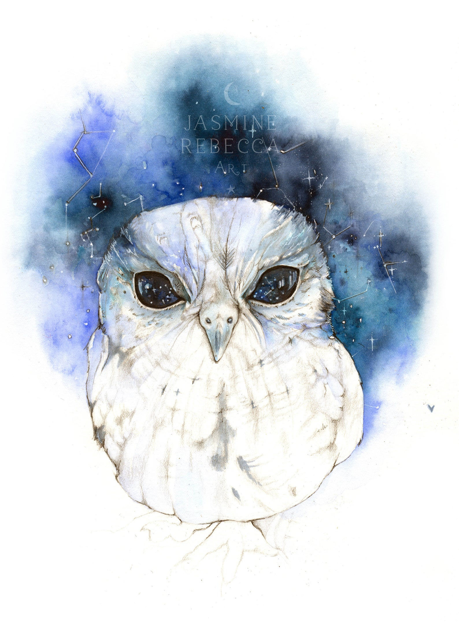 Zeus the Owl Print