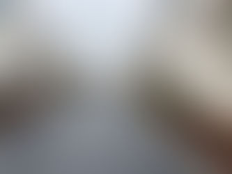 Atlanta Film and TV visits Pinewood Forest, Part II