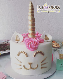 CATUNICORN-1.jpg