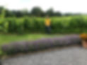 2AEB54CC-EBAE-4EF7-96A5-A324CDBA3243.jpeg
