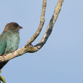 Warrina Lakes monthly birding outing: April 2026
