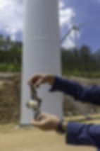 Yellow-bellied Sheath-tailed Bat found at base of a wind tower at Kaban Wind Turbine operation, northern Qld. Image by Steven Nowakowski.