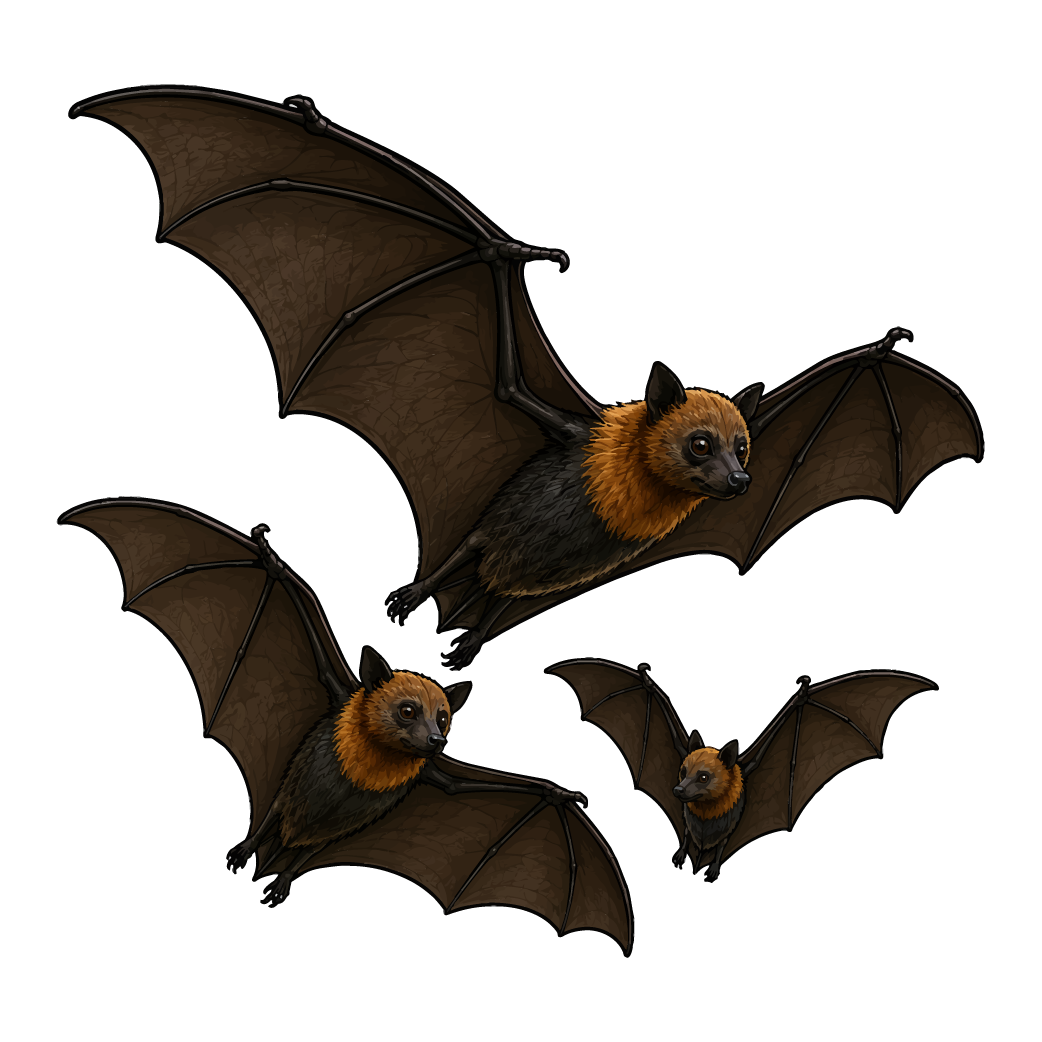 Icons Flying fox