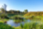 AdobeStock_1002073805.jpeg