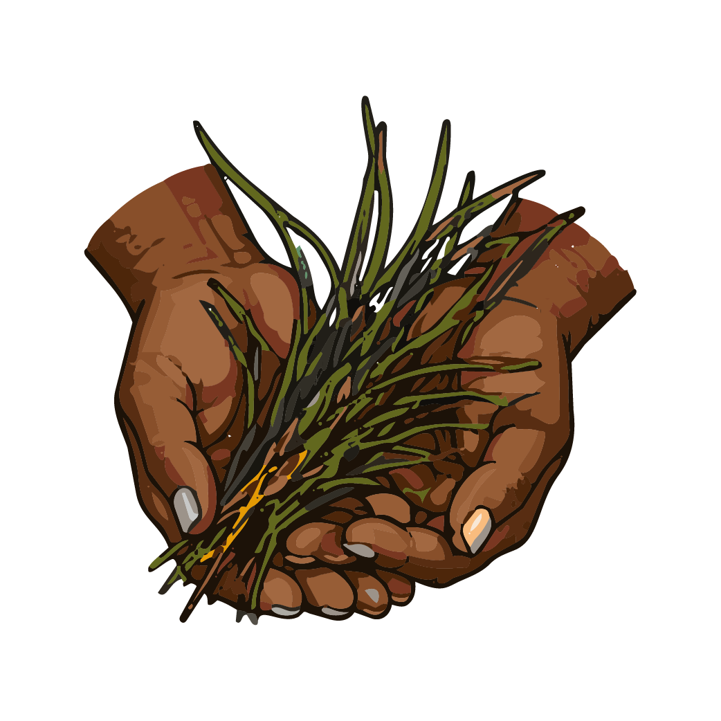Icons Hands and seagrass