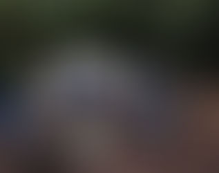 The Birds With Altitude Project: Citizen science monitoring in the Wet Tropics