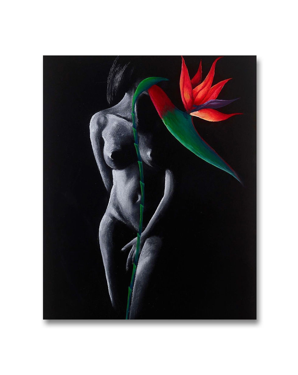 Altea Zimbaldo artist art
