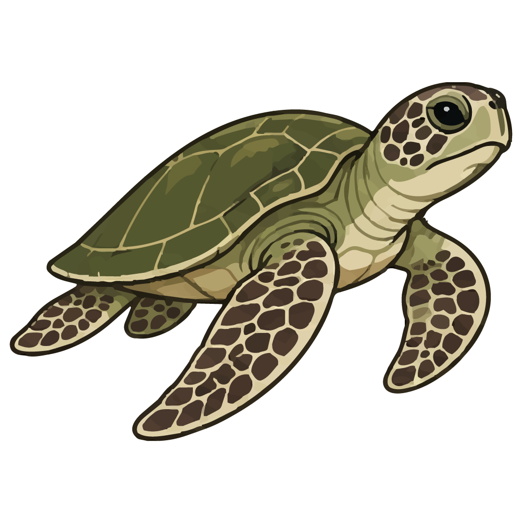 Icons Turtle